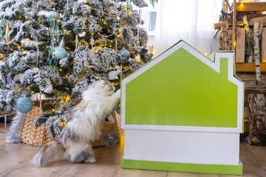 Similar image 22436573