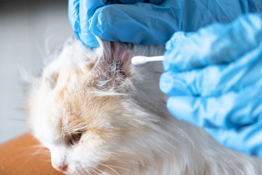 Similar image 22436576