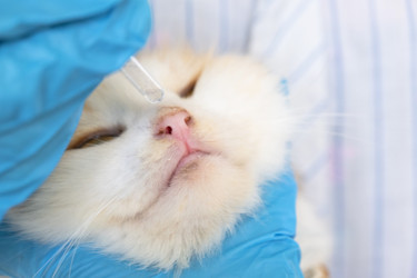 Similar image 22436578