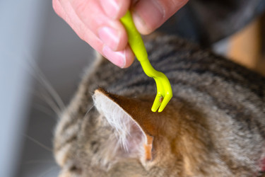 Similar image 22436579