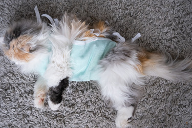 Similar image 22436581