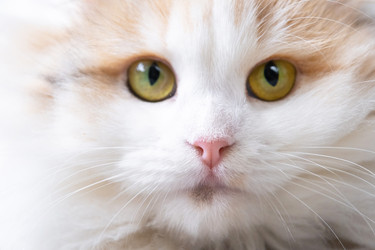 Similar image 22436582