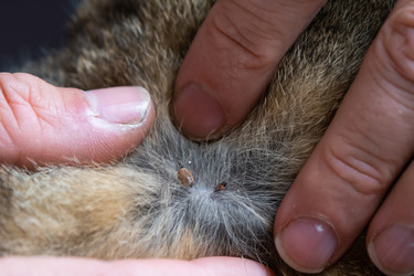 Similar image 22436586