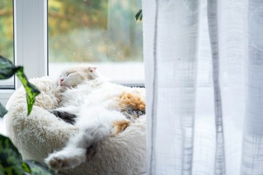 Similar image 22436592