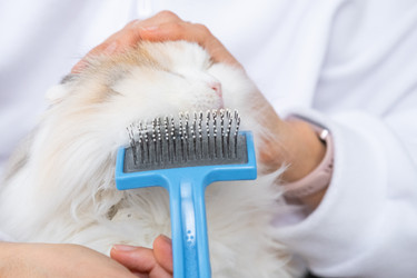 Similar image 22436593