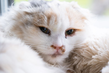 Similar image 22436600