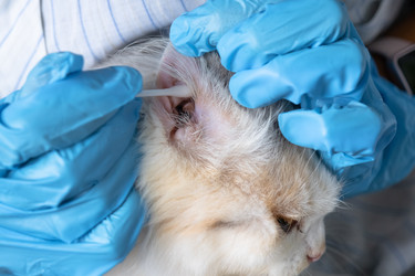 Similar image 22436601