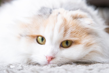 Similar image 22436606