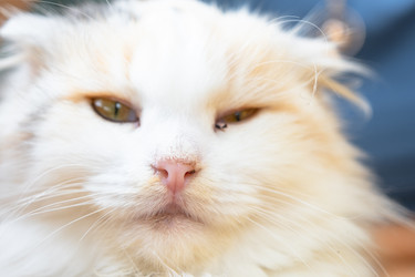 Similar image 22436608