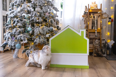 Similar image 22436609