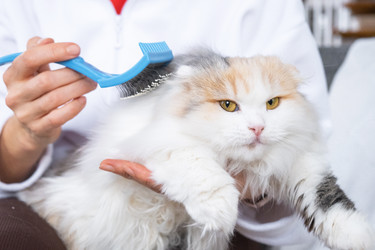 Similar image 22436613