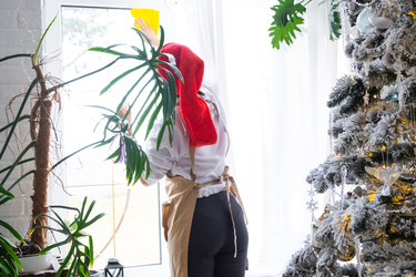 Similar image 22436615