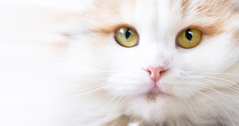 Similar image 22436616