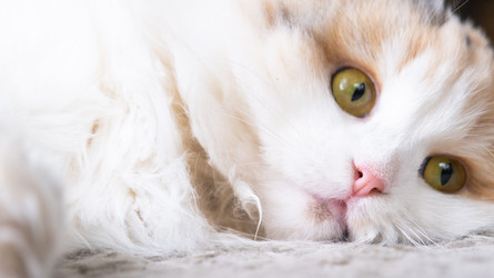 Similar image 22436619