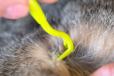 Similar image 22436620