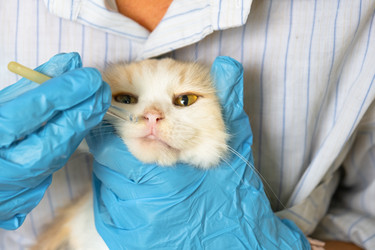 Similar image 22436622