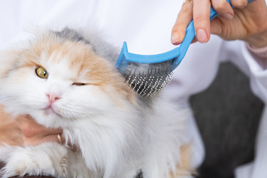 Similar image 22436627