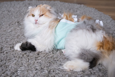 Similar image 22436630