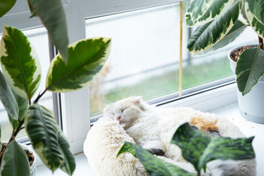 Similar image 22436633