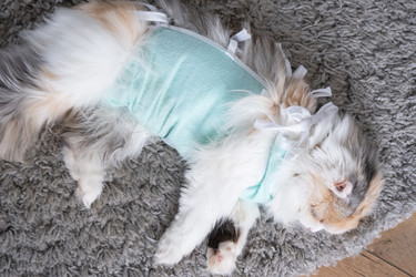 Similar image 22436635