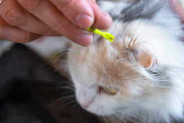 Similar image 22436637