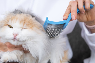 Similar image 22436640