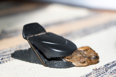 Similar image 22436641