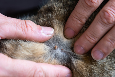 Similar image 22436645