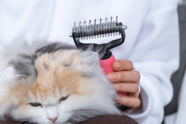 Similar image 22436649