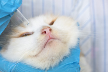 Similar image 22436650