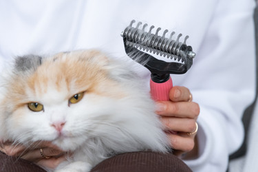 Similar image 22436651