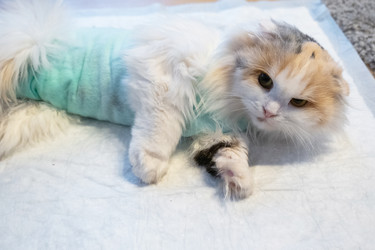 Similar image 22436653