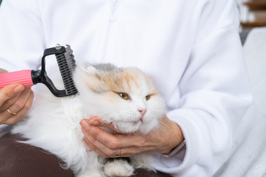 Similar image 22436657