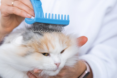 Similar image 22436658