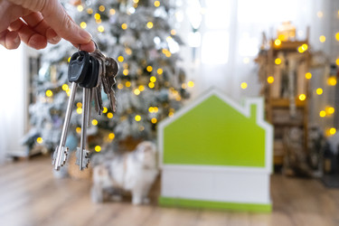 Similar image 22436667