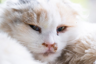 Similar image 22436674