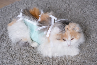 Similar image 22436675