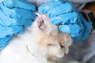 Similar image 22436678