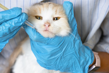 Similar image 22436680