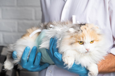 Similar image 22436681