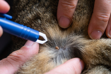 Similar image 22436682