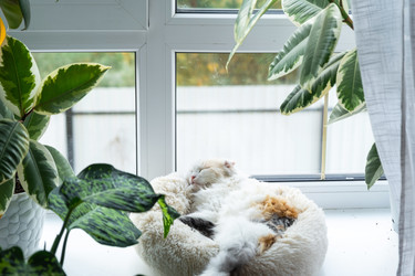 Similar image 22436685