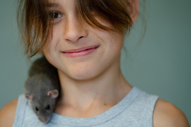 Similar image 22427582