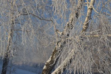 Similar image 22424603