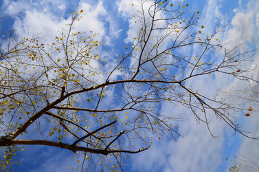 Similar image 22424605