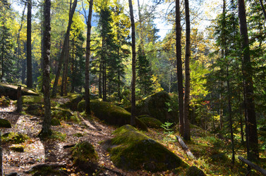 Similar image 22424613