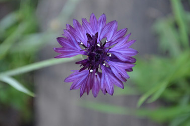 Similar image 22424614