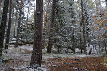 Similar image 22424615