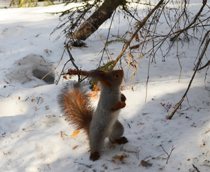 Similar image 22424616