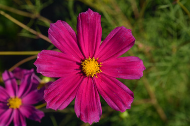 Similar image 22424617